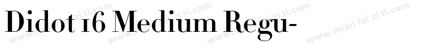 Didot 16 Medium Regu字体转换